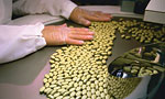  S t a t e - O f - t h e - A r t   m a n u f a c t u r i n g 