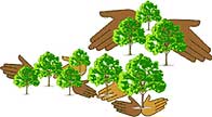 The Green Belt Movement