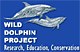 Studies dolphins in their natural environment.